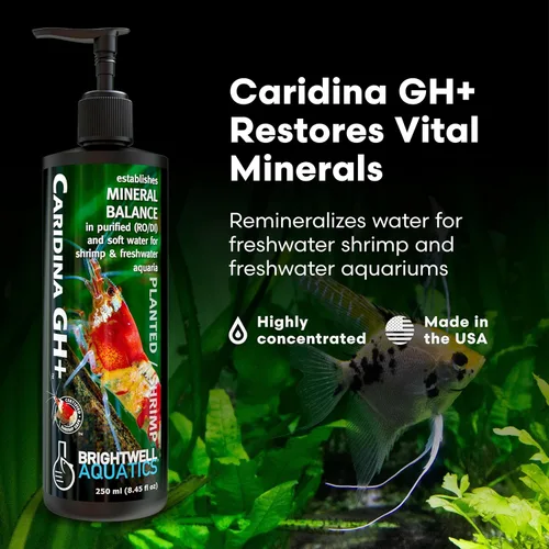 Miniatura 2 de Brightwell Aquatics Caridina GH+ Suplemento mineral restaura el sodio de calcio, magnesio y potasio en agua suave RO/DI para la cría de camarones