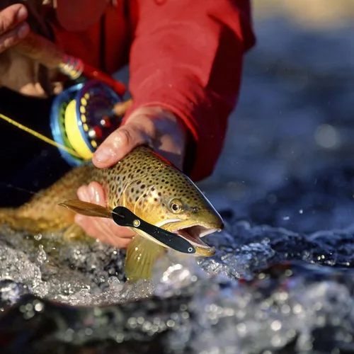 Miniatura 3 de 10 señuelos de pesca biónicos suaves, cebos de pesca artificiales, señuelos realistas suaves, accesorios para amantes de la pesca al aire libre, 5