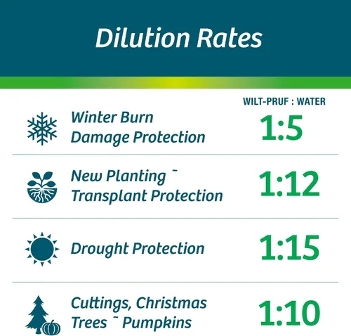 Miniatura 8 de Wilt-Pruf® Concentrado Protege contra daños en invierno, sequías y estrés Simplemente rocía y deja secar Bloquea la humedad con película