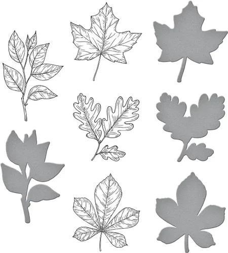 Miniatura 4 de Spellbinders BP-082 - Juego de placas de prensa y troqueles de hojas de otoño de la colección BetterPress Autumn