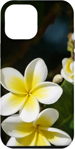 Miniatura 26 de iPhone 12/12 Pro Plumeria Flower - Carcasa amarilla