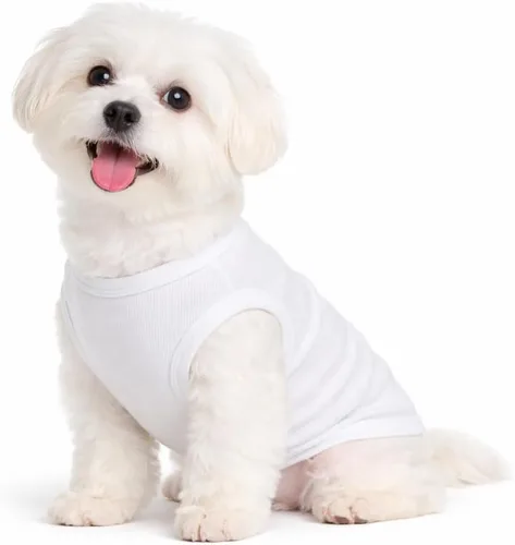 Miniatura 44 de Lovelonglong Ropa para mascotas de verano 2019, ropa para perro, camisetas en blanco, camisetas acanaladas, chalecos de hilo superior para perros