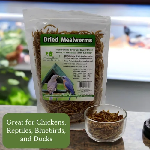 Miniatura 3 de Songbird Essentials Gusanos de harina secos para aves silvestres, gusanos de harina 100% naturales para pollos, pájaros azules, reptiles y patos