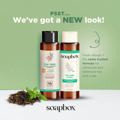 Miniatura 2 de Soapbox Juego de champú y acondicionador de árbol de té, equilibrio del cuero cabelludo con aceite de árbol de té, aceite de jojoba, aloe y manteca