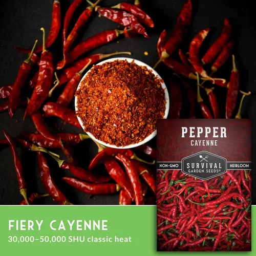 Miniatura 3 de Semillas de pimienta de cayena para plantar Variedad de reliquia caliente con 30,000 a 50,000 Scoville Heat - Semillas de jardín de supervivencia