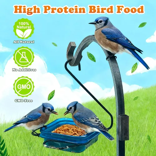 Miniatura 4 de Amzey Gusanos secos de harina de 2 libras, gusanos de comida 100% naturales para pollo y pájaros, alimento orgánico para gallinas ponedoras, alto