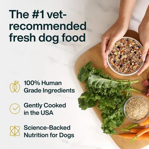 Miniatura 3 de JustFoodForDogs Alimento fresco congelado para perros, comida completa o aderezo, receta de comida para perros de grado humano con cordero y arroz