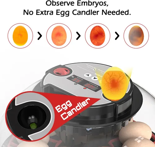 Miniatura 5 de Incubadoras inteligentes de pollo para incubar huevos con volteador automático, aves, pato, codorniz, 12 huevos, incubadora de control de M12 Pro