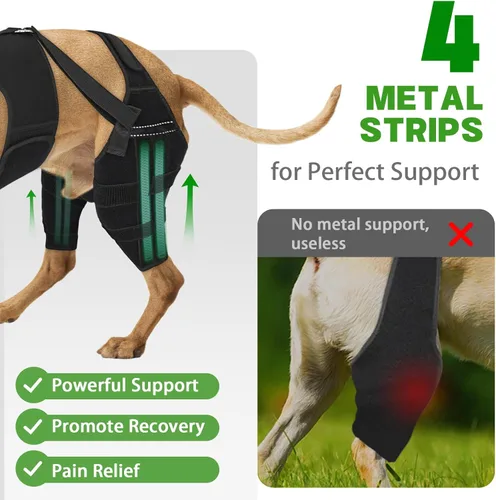 Miniatura 2 de Rodillera para perro para pierna trasera desgarrada, ajustable para pierna trasera con 6 estabilizadores, reduce el dolor, lesiones de ligamentos