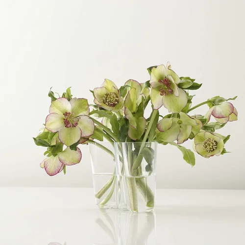 Miniatura 3 de Iittala Alvar Aalto - Jarrón transparente (4.724 in)