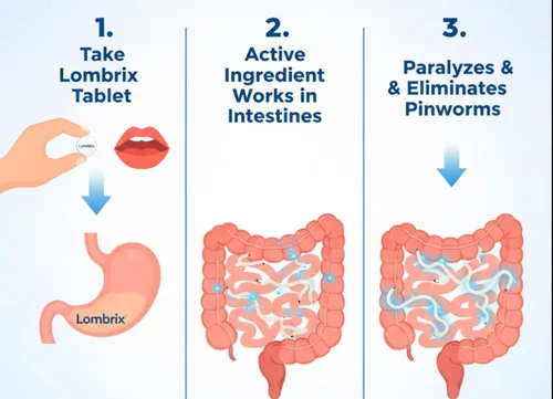 Miniatura 5 de Medicina para oxiuros pirantel pamoato de 180 mg, apoyo para el equilibrio intestinal para adultos y toda la familia, limpieza digestiva de uso