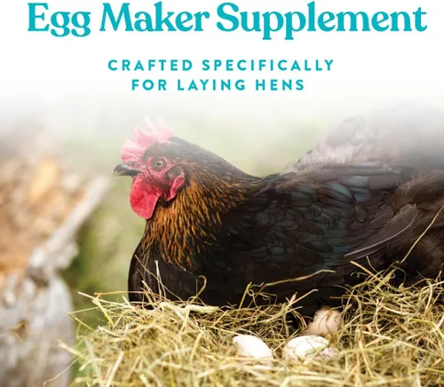 Miniatura 4 de Manna Pro Omega Egg Maker, suplemento de alimentación de pollo para gallinas ponedoras, alimento para aves de corral con ácidos grasos omega-3