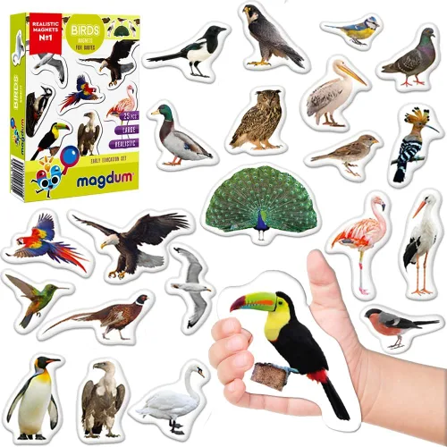 Miniatura 11 de Imanes de nevera para niños pequeños – magdum – 30 imanes de animales marinos para refrigerador – Imanes reales de animales del océano para niños