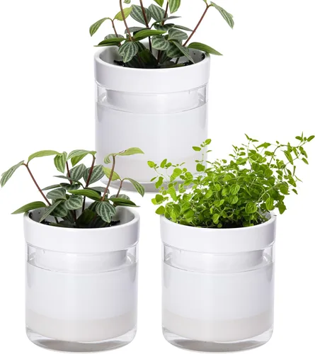 Miniatura 7 de Maceta Phoenix Vine de 6 Pulgadas con Riego Automático, Maceta de Arcilla Terracota con Reservario de Vidrio para Plantas de Interior, Hierbas