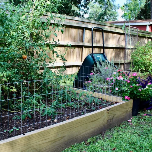 Miniatura 6 de Tela de hardware de 24'' x 50' de 1 pulgada, calibre 16, malla soldada con revestimiento de vinilo negro para cercas del hogar y jardín y proyectos