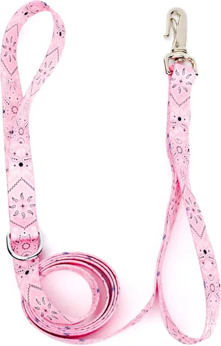Miniatura 27 de Country Brook Design® Correa para perro Native Arizona de 1 pulgada - 6 pies Arizona nativa
