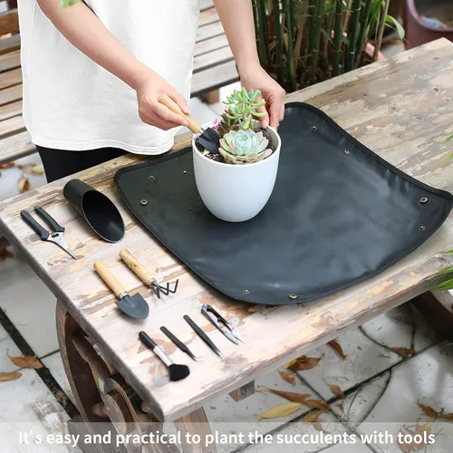Miniatura 5 de 11 piezas de herramientas para suculentas, mini herramientas de jardín, herramienta de riego de suculentas como accesorios para plantas, kit