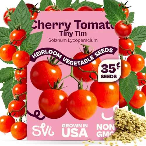 Miniatura 19 de SVI 550 semillas grandes de tomate cereza roja (Solanum lycoperscium) - Paquetes de semillas de tomates cherry, mini tomates en la vid - Semillas