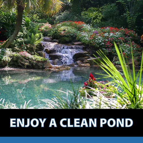 Miniatura 6 de CrystalClear MuckOff, Tratamiento Natural de Lodo para Estanques, Limpiador de Jardín Acuático, Eliminador de Lodo para Fuentes y Baños para Aves