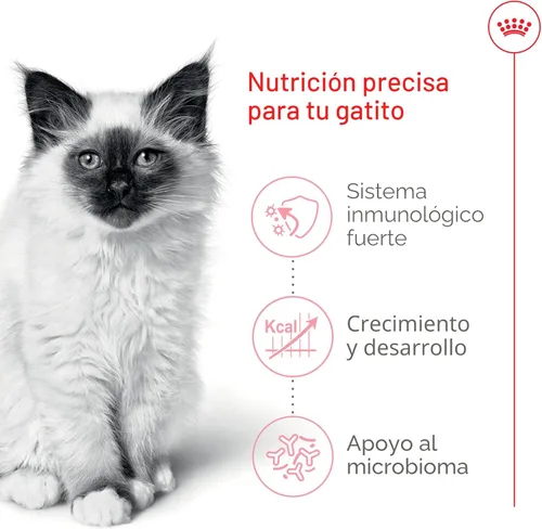 Miniatura 4 de Comida seca para gatitos de Royal Canin, Nutrición para la salud felina, Bolsa de 3.2 kg