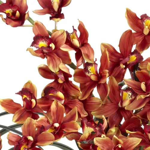 Miniatura 2 de Cymbidium con jarrón decorativo, arreglo de seda