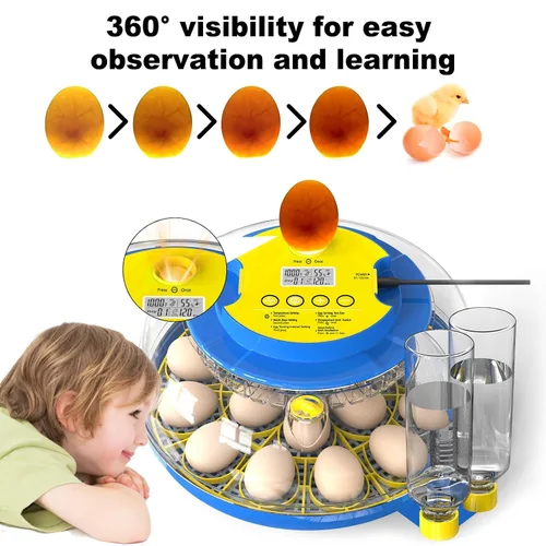 Miniatura 7 de Cieex - Incubadora de 18 huevos para incubar pollo, codornices, patos, loros, gansos con giro automático de huevos y control de humedad, incubadora