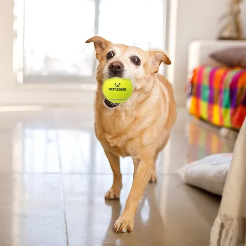 Miniatura 5 de Pelotas de tenis para perros, paquete de 12 pelotas interactivas chirriantes de 2.5 pulgadas para perros pequeños, medianos y grandes, juguetes