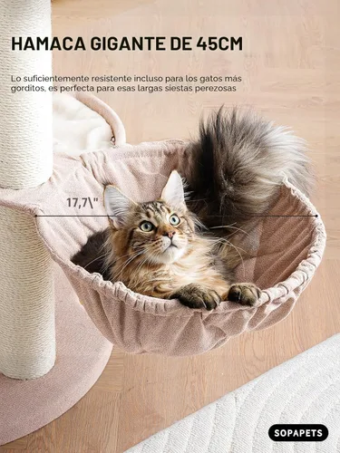 Miniatura 6 de Árbol para gatos extra grande para Maine Coon, torre de árbol para gatos de interior de 65 pulgadas de altura para gatos adultos grandes de 20