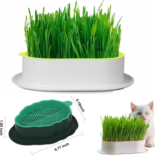 Miniatura 3 de 2 Piezas Macetas de Hierba para Gatos (Sin Semillas Incluidas) Bandejas de Plantación de Pasto de Trigo Kits de Cultivo de Hierba para Gatos