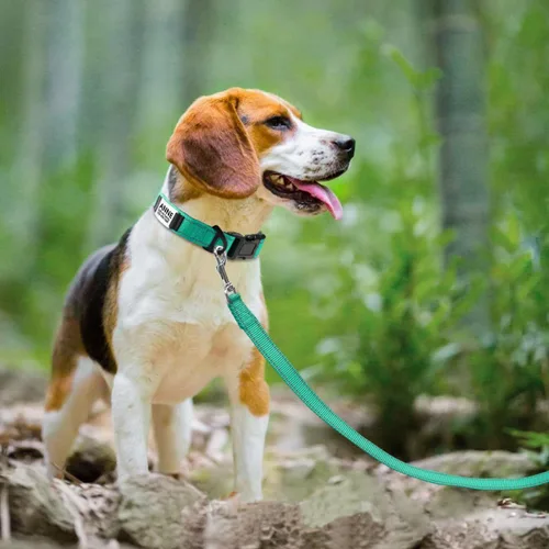 Miniatura 6 de Joytale Collares para perros personalizados, collar de nailon reflectante con placa de nombre grabada, personalizado para perros medianos, verde