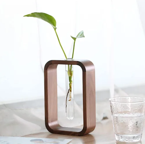 Miniatura 4 de Transprent - Jarrón de vidrio de tubo de ensayo, jarrón hidrófilo para plantas, marco de madera de nogal, soporte de flores, mesa de jardín