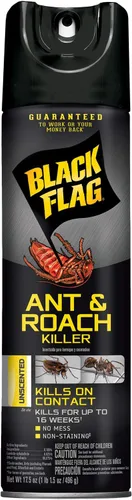 Black Flag Ant & Roach Killer Aerosol, sin perfume, 17.5 onzas, paquete de 12