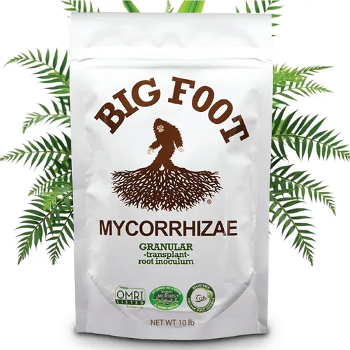 Big Foot Hongos micorrícicos granulares para trasplantes - para todas las plantas - Estimulador de raíces fácil de usar - Trata 1200 plantas