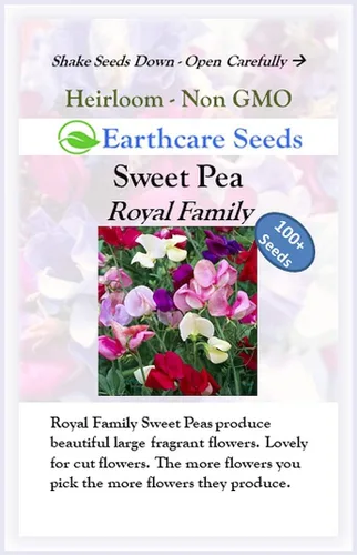 Miniatura 3 de Guisantes Dulces Fragantes 100 Semillas Familia Real (Lathyrus odoratus)