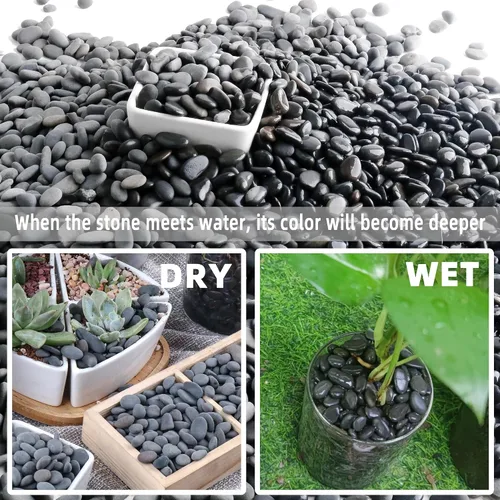 Miniatura 4 de Piedras de río de 2.4 libras para plantas y suculentas, paisajismo decorativo al aire libre y rocas de jardín de acuarios
