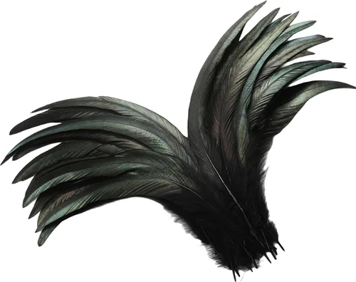 Miniatura 42 de Holmgren Plumas de Cola de Gallo Color Blanco Hueso - 60 piezas Plumas de Cola de Gallo Grandes de 12-14 pulgadas al Por Mayor para Manualidades