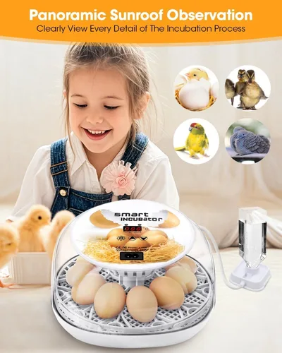 Miniatura 2 de Incubadoras para incubar huevos, tazas para dar de beber a pollos, volteador de huevos automático que contiene 12 huevos, incubadora inteligente