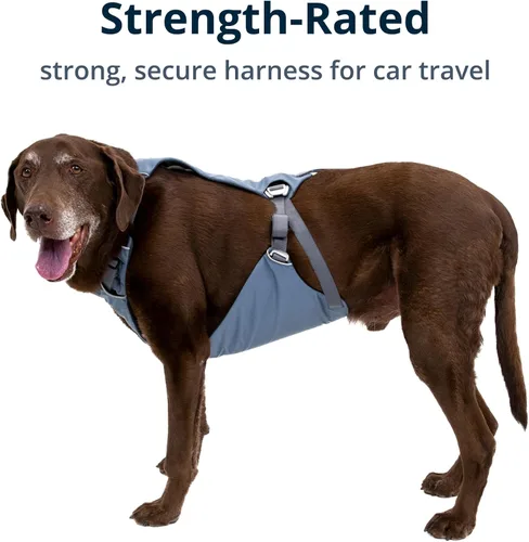 Miniatura 4 de Ruffwear, Load Up - Arnés de automóvil para perro, acolchado ajustable, sujeción de viaje con accesorio universal para cinturón de seguridad