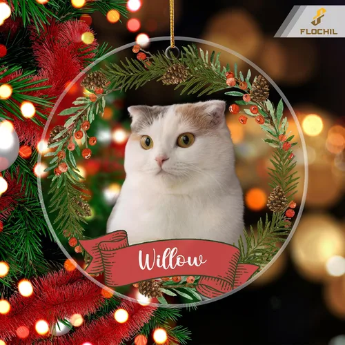 Miniatura 4 de FLOCHIL Adornos de Navidad personalizados para gatos, nombre con foto personalizada para árboles de Navidad, adornos de Navidad para los primeros