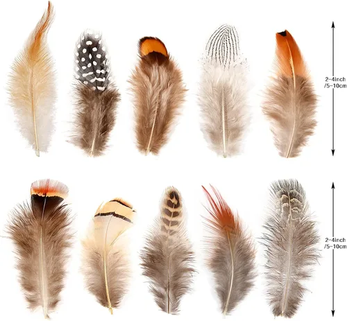 Miniatura 2 de 200 plumas naturales de 10 estilos surtidos de plumas para atrapasueños, manualidades, decoración de bricolaje