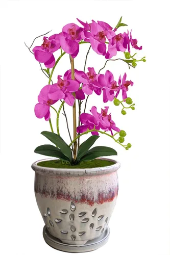 Miniatura 4 de Macetas de orquídeas de 7 pulgadas con agujeros, recipiente redondo de cerámica para suculentas, maceta de mariposa, platillo para alféizar