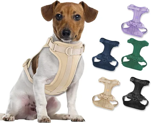 Miniatura 35 de Arnés ligero para perro sin tirones: arnés ajustable y duradero de malla transpirable con cojín suave y cómodo, para perros pequeños, medianos y Lila
