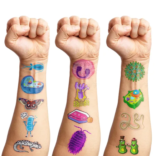 Miniatura 3 de 96 tatuajes temporales divertidos de ciencias biológicas, calcomanías de laboratorio celular y microbiología para estudiantes, profesores, recuerdos