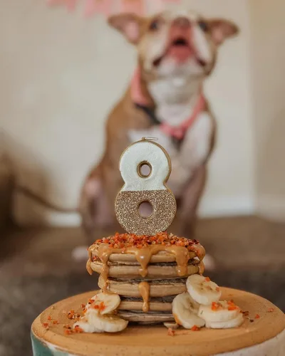 Miniatura 3 de BUDDY BUDDER Panqueques de cumpleaños de Bash Pooch - Regalo divertido, brunch con tu cachorro, o apilarlos para cumpleaños de perro con vela, 100%