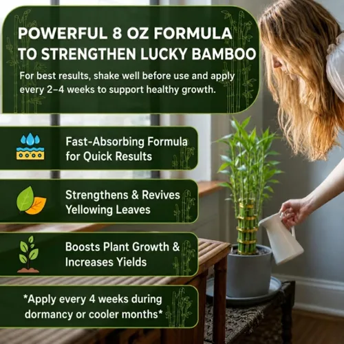 Miniatura 5 de Fertilizante líquido profesional para bambú de la suerte Concentrado 3-1-2 para plantas con flores Mezcla multiusos y suministros de jardinería