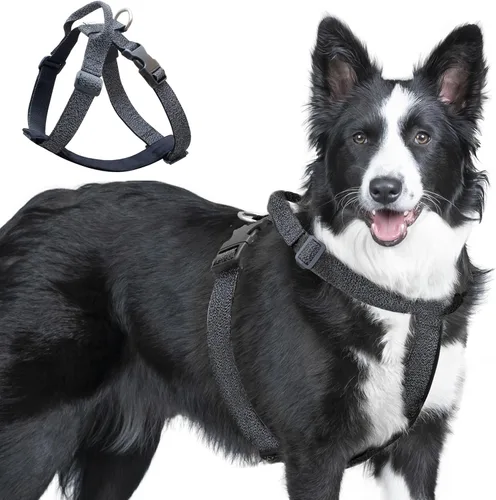 Miniatura 13 de Galaxy - Arnés reflectante para perro, ajuste ajustable de 4 puntos, hebillas antipellizcos, control de clip trasero y asa de emergencia, forro