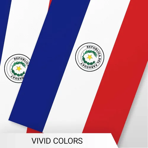 Miniatura 6 de G128 Banderín paraguayo paraguayo Bandera de 8.2 x 5.5 pulgadas, cuerda completa de 33 pies Poliéster 150D impreso, decoraciones para bar