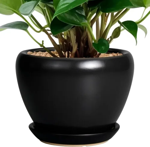 Miniatura 81 de Maceta de Cerámica Moderna con Esmalte para Suculentas con Agujero de Drenaje y Platillo, Maceta Redonda de 6 Pulgadas para Plantas de Flores
