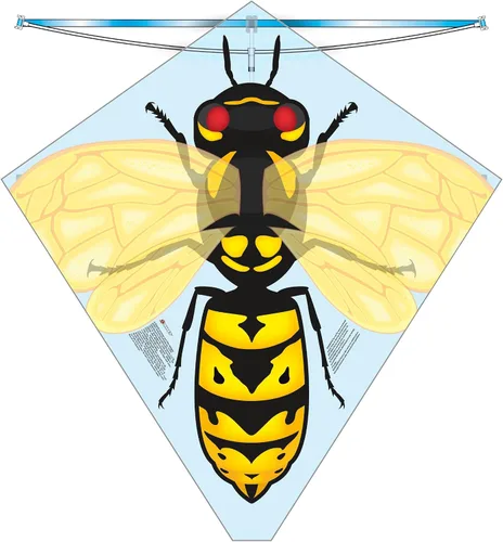 Miniatura 2 de X Kites Buzz Kites® - Cometa de polietileno surtida