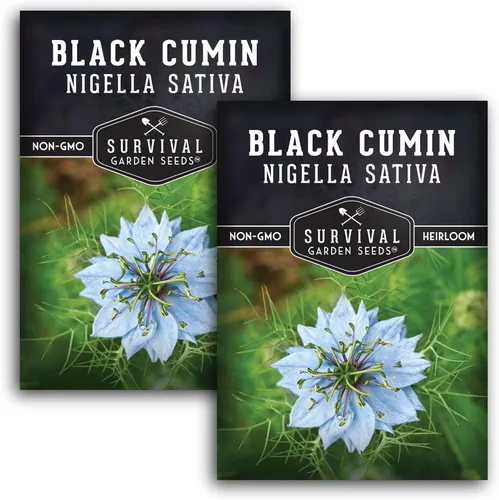 Miniatura 10 de Survival Garden Seeds Nigella Sativa Semillas de comino negro para plantar, 1 paquete Té medicinal de semillas negras y especias culinarias